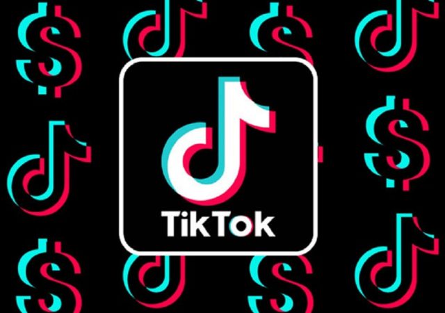 India bans TikTok